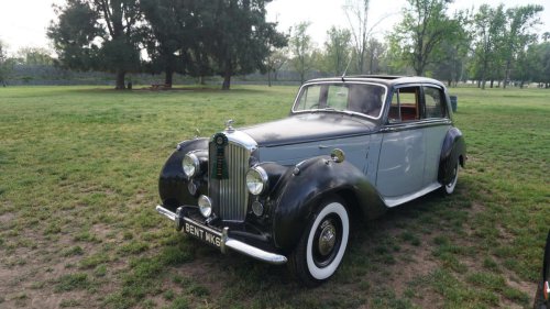 Check out our 50 favorite cars from the Queen’s English Car Show