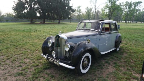 Check out our 50 favorite cars from the Queen’s English Car Show