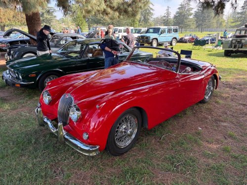 Check out our 50 favorite cars from the Queen’s English Car Show