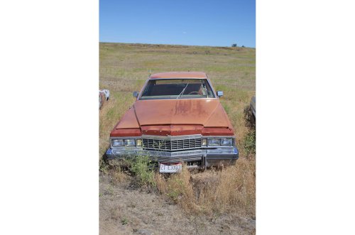 America's finest junkyard? Gems from L&L Classic in Wendell, Idaho