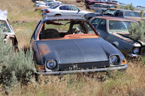 America's finest junkyard? Gems from L&amp;L Classic in Wendell, Idaho