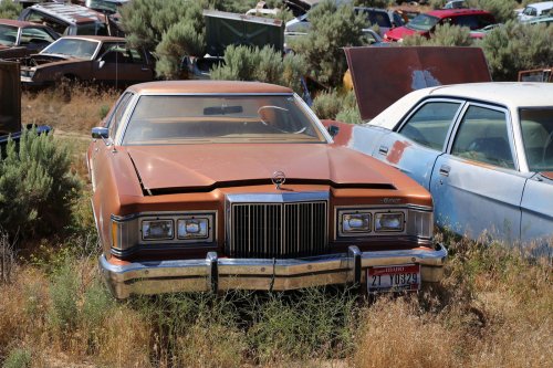 America's finest junkyard? Gems from L&amp;L Classic in Wendell, Idaho
