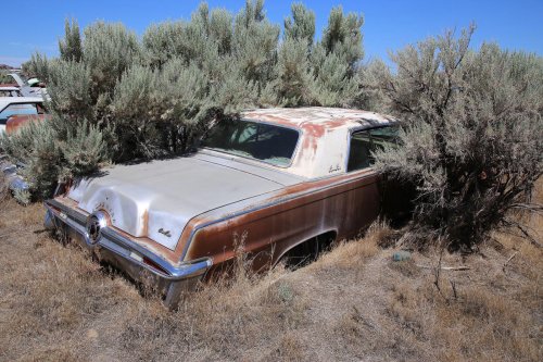 America's finest junkyard? Gems from L&amp;L Classic in Wendell, Idaho