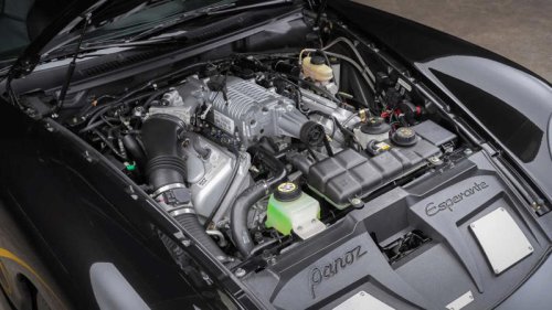 The American exotic that time completely forgot