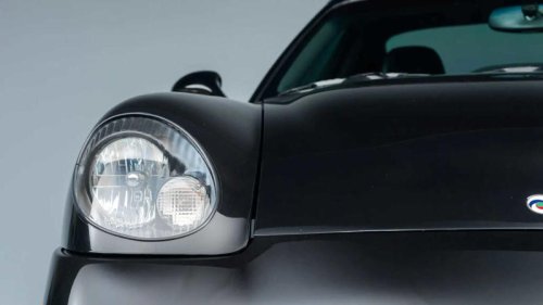 The American exotic that time completely forgot