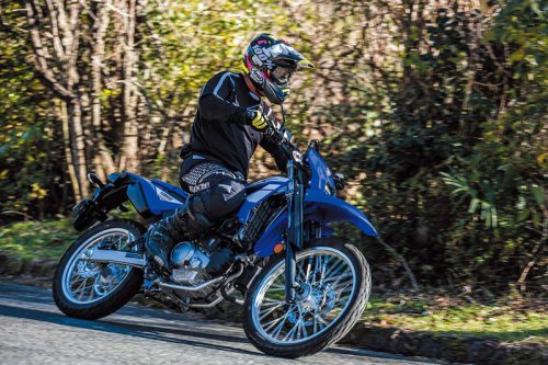 【ヤマハ WR125R】125ccだから自分だけのルートを見つけられる!