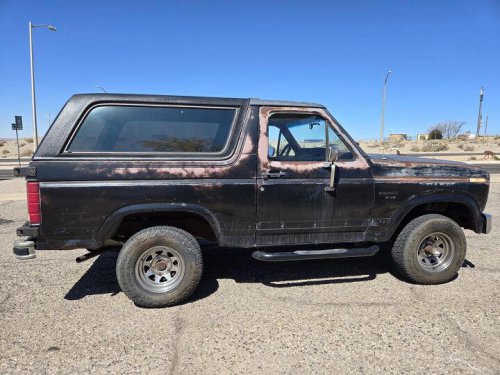 1986 Ford Bronco for sale