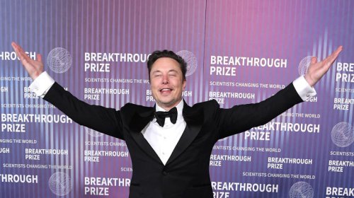 Elon Musk could legally help struggling TSA agents get paid with this one weird trick