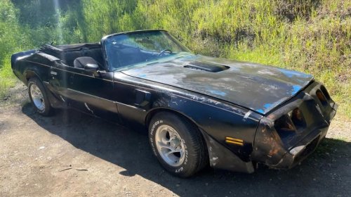 Pontiac, At $10,000, would you flip your lid over this 1980 Pontiac Firebird Trans-Am convertible?