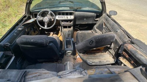 Pontiac, At $10,000, would you flip your lid over this 1980 Pontiac Firebird Trans-Am convertible?