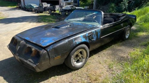 Pontiac, At $10,000, would you flip your lid over this 1980 Pontiac Firebird Trans-Am convertible?