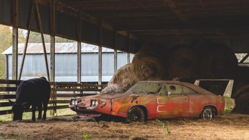 Muscle Cars, 10 barn find muscle cars for the ages