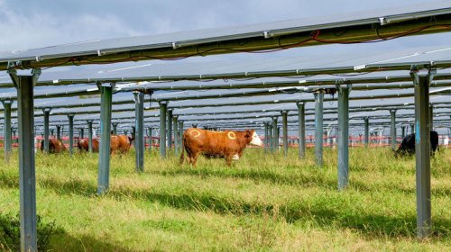 This Tennessee solar farm is doing a lot more than just generating energy