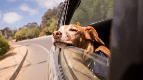 20 roadside emergencies you can actually prepare for