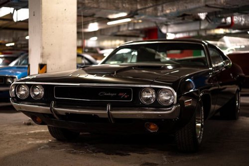 How the 1970s oil crisis killed the muscle car era that a generation had just fallen in love with