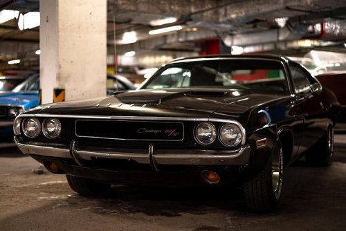 How the 1970s oil crisis killed the muscle car era that a generation had just fallen in love with