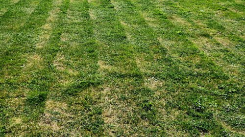 Should the front of a mower deck be higher than the back?