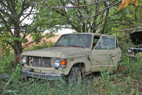 Tesoros encontrados en Ron's Auto Salvage en Allison, Iowa