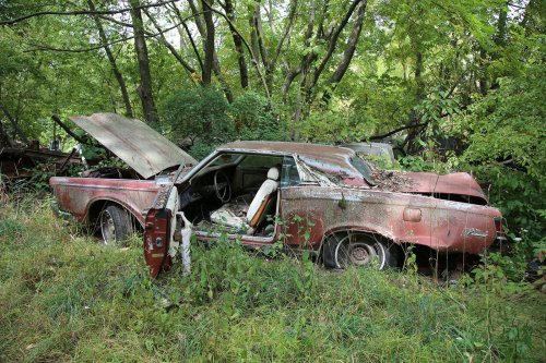 Tesoros encontrados en Ron's Auto Salvage en Allison, Iowa