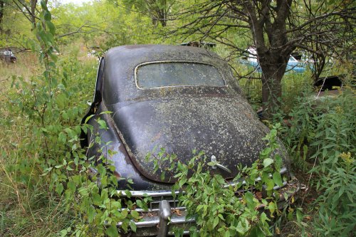 Tesoros encontrados en Ron's Auto Salvage en Allison, Iowa