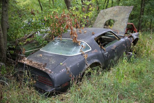 Tesoros encontrados en Ron's Auto Salvage en Allison, Iowa
