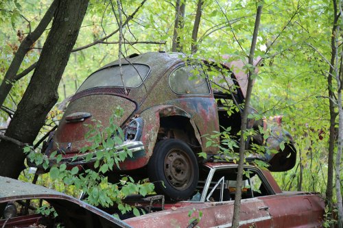 Tesoros encontrados en Ron's Auto Salvage en Allison, Iowa