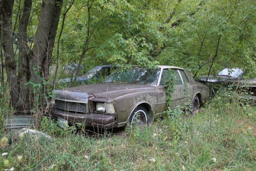 Tesoros encontrados en Ron's Auto Salvage en Allison, Iowa