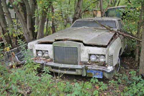 Tesoros encontrados en Ron's Auto Salvage en Allison, Iowa