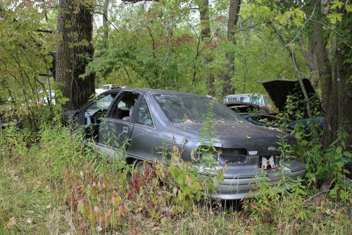 Tesoros encontrados en Ron's Auto Salvage en Allison, Iowa