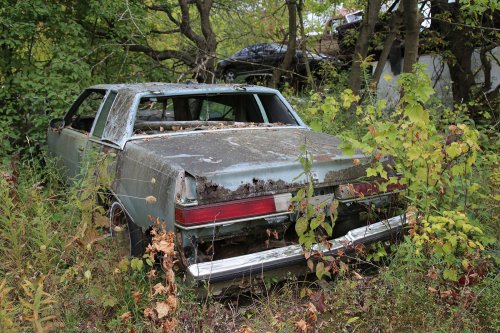 Tesoros encontrados en Ron's Auto Salvage en Allison, Iowa