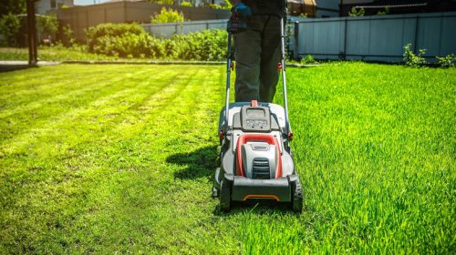 Should the front of a mower deck be higher than the back?
