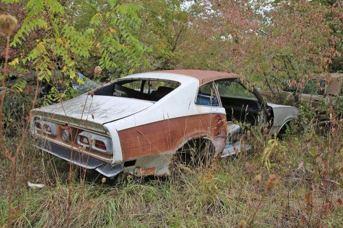 Tesoros encontrados en Ron's Auto Salvage en Allison, Iowa