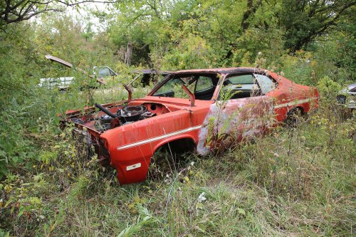 Tesoros encontrados en Ron's Auto Salvage en Allison, Iowa
