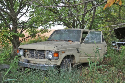Junkyard discoveries from Ron’s Auto Salvage in Allison, Iowa
