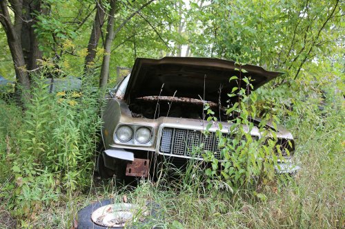 Junkyard discoveries from Ron’s Auto Salvage in Allison, Iowa