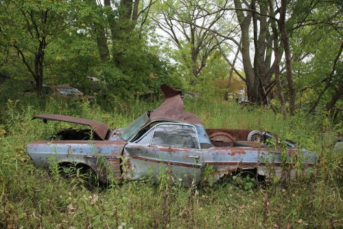 Junkyard discoveries from Ron’s Auto Salvage in Allison, Iowa