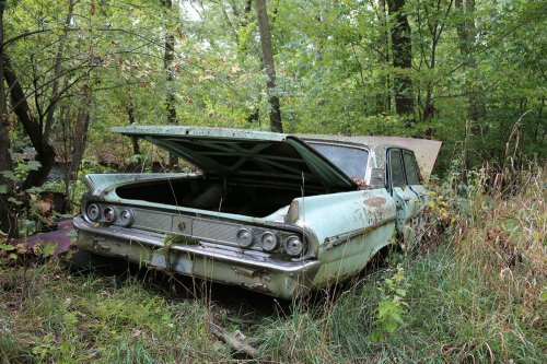 Junkyard discoveries from Ron’s Auto Salvage in Allison, Iowa