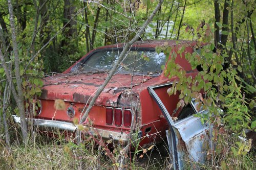 Junkyard discoveries from Ron’s Auto Salvage in Allison, Iowa