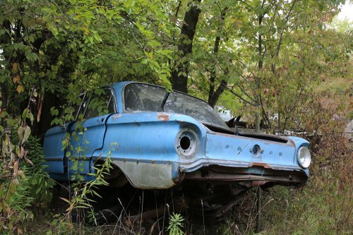 Tesoros encontrados en Ron's Auto Salvage en Allison, Iowa