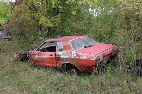 Junkyard discoveries from Ron’s Auto Salvage in Allison, Iowa