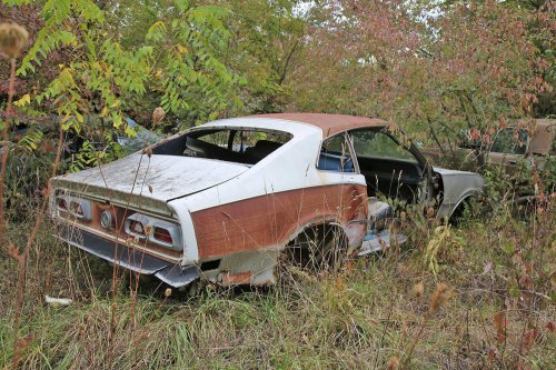 Junkyard discoveries from Ron’s Auto Salvage in Allison, Iowa