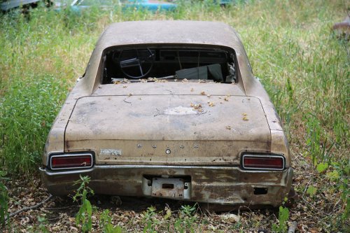 Junkyard discoveries from Ron’s Auto Salvage in Allison, Iowa