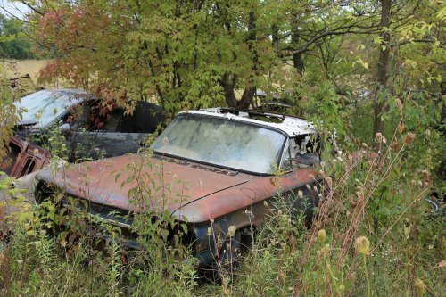 Junkyard discoveries from Ron’s Auto Salvage in Allison, Iowa