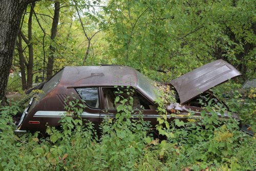 Junkyard discoveries from Ron’s Auto Salvage in Allison, Iowa