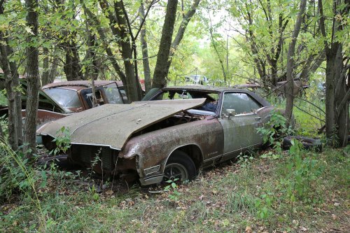 Junkyard discoveries from Ron’s Auto Salvage in Allison, Iowa