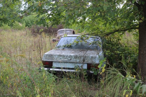 Junkyard discoveries from Ron’s Auto Salvage in Allison, Iowa