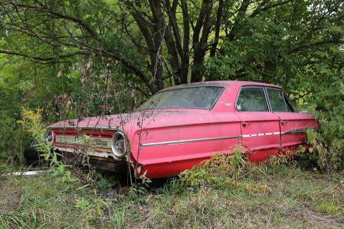 Junkyard discoveries from Ron’s Auto Salvage in Allison, Iowa