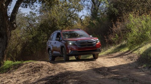 Subaru's Indiana factory has bald eagles, coyotes, and snapping turtles living on the property