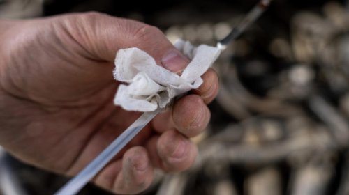 What does a typical multi-point inspection include?