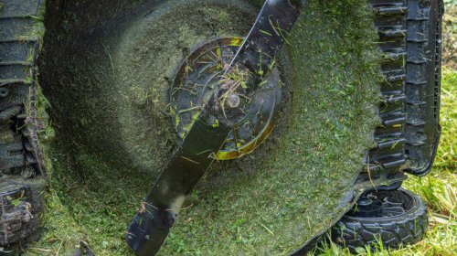 4 dangerous mistakes people make when using their lawn mowers